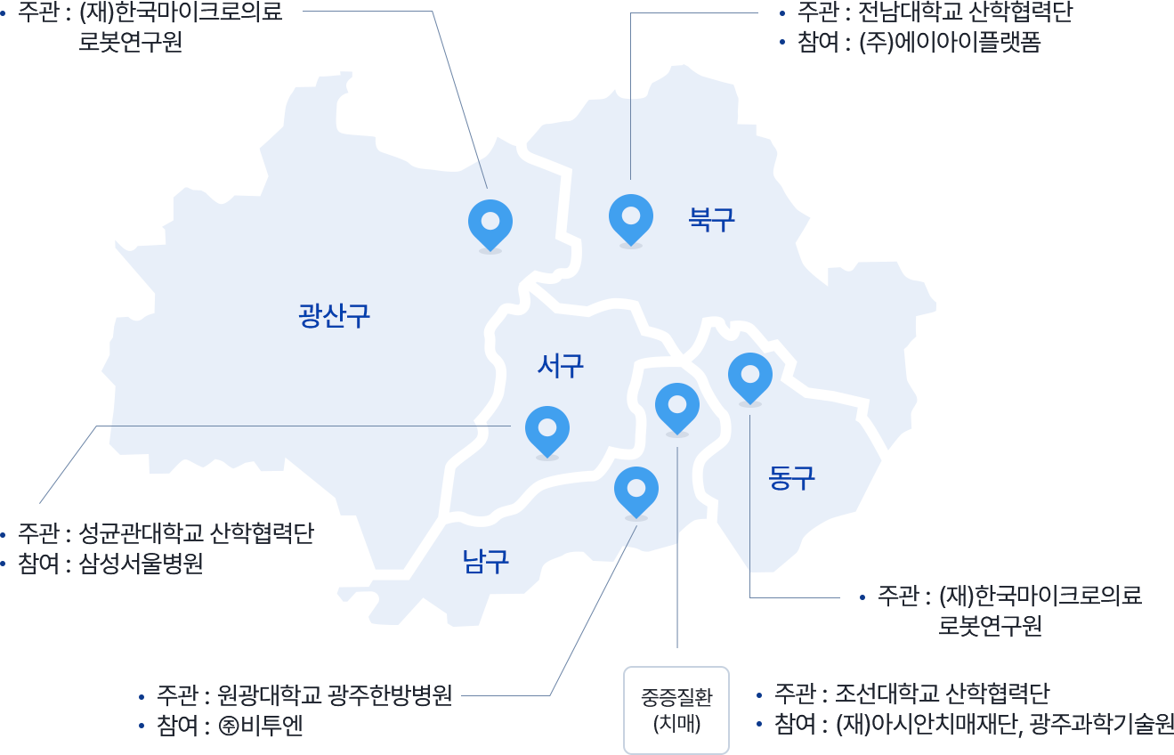 광산구 - 주관:(재)한국마이크로의료로봇연구원, 북구 - 주관:전남대학교 산학협력단/참여:(주)에이아이플랫폼, 서구 - 주관:성균관대학교 산학협력단/참여:삼성서울병원, 남구 - 주관:원광대학교 광주한방병원/참여:㈜비투엔, 중증질환
                                    (치매) - 주관:조선대학교 산학협력단/참여:(재)아시안치매재단, 광주과학기술원, 동구 - 주관:(재)한국마이크로의료 로봇연구원